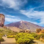 El Rincon De Pancho Apartment Guia de Isora (Tenerife)